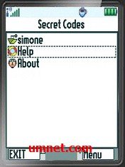 game pic for Secret Codes